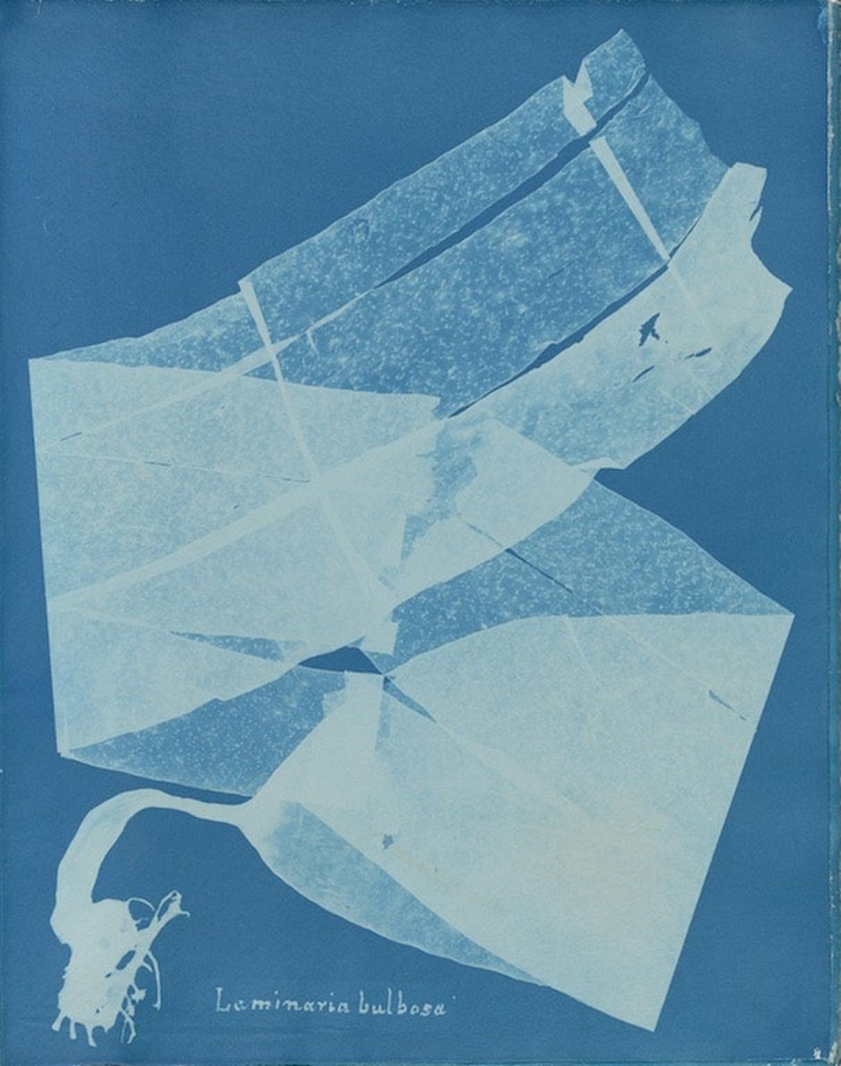 [digital project] image of a past client project for a mobile app development company